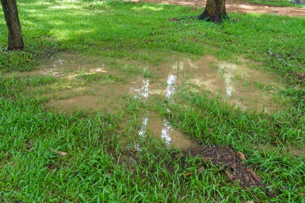 Cost of Storm Water Drainage Service in Waxhaw