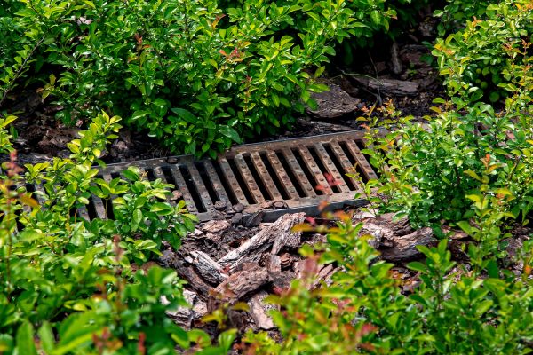 Cost of Underground Drainage Service in Waxhaw