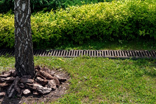 Cost of Wet Yard Drainage in Waxhaw