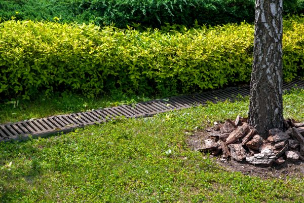 Cost of Residential Landscape Drainage in Waxhaw