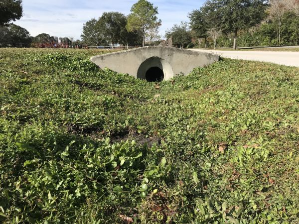 Cost of Swale Drainage Service in Waxhaw